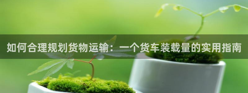 杏运注册登录地址