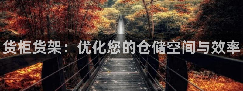 杏运体育登录：货柜货架：优化您的仓储空间