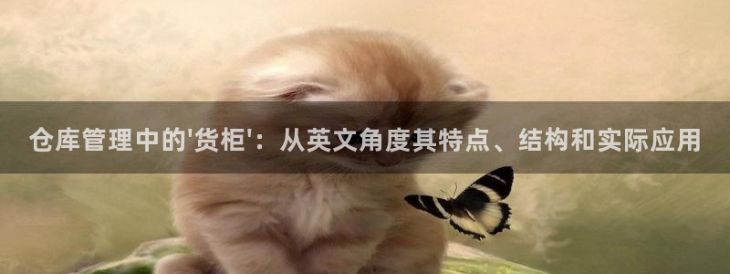 杏运登录：仓库管理中的\'货柜\'：从英